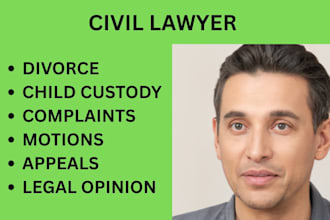 draft your divorce papers, petitions, motions, and lawsuits