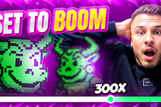 hit 500sol pump fun solana meme coin promotion, meme coin promotion coin sales