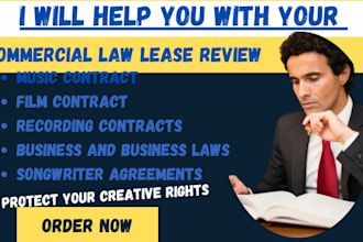 provide legal consulting in ipr corporate law and commercial law