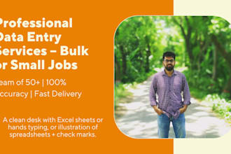 accurate bulk data entry, PDF to excel, web research with big team