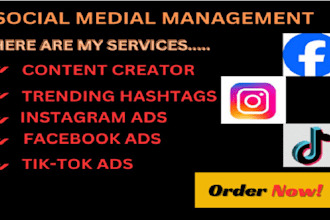 be your social media marketing manager and content creator
