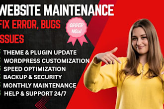 do professional wordpress maintenance, website updates, and support