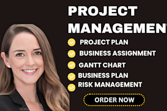 create gantt chart and schedule timeline for the project