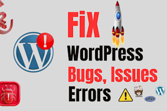 fix wordpress issues, fix wordpress errors, fix bug