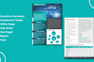 design a one pager, executive summary, business flyer or investment teaser