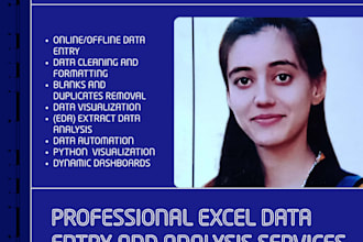 data visualization, data cleaning, data analysis, and data entry in excel