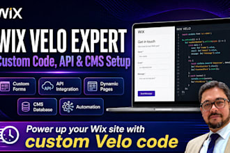 fix wix velo bugs and add custom wix database functionality