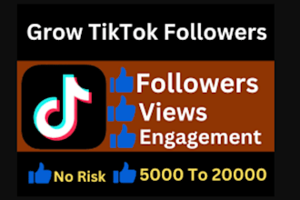 manage tiktok marketing and promotion for organic follower growth likes and view