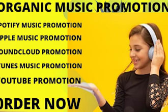 music promotion on soundcloud, deezer, youtube music and apple music