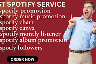 create and run effective ad campaigns for your spotify music promotion