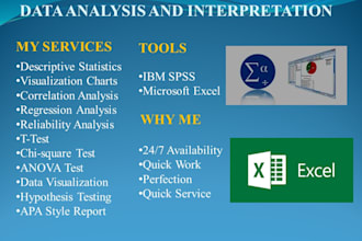 do statistical data analysis with spss and excel