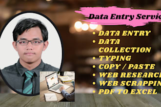 provide accurate and efficient data entry services