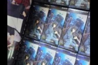 provide solo leveling collect card
