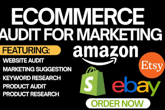do ecommerce website audit virtual assistant and suggest marketing