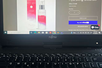 build a professional shopify store with SEO and instagram ads