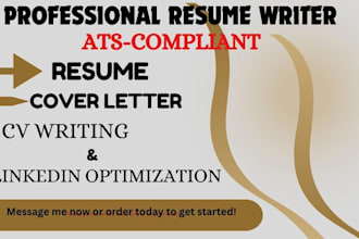 professionally  write you job success resume
