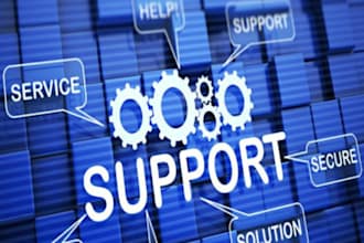 provide technical support and services