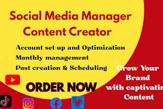 social media manager content creator linkedin manager instagram marketing