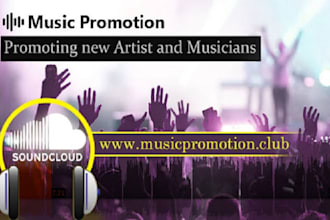 do music promotion, increase playlist streams, followers