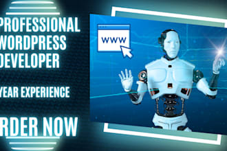 build rebuild redesign wordpress website development,design business website