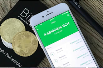 investigate cryptocurrency wallets and transactions