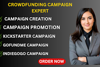 do targeted promotion for your gofundme, kickstarter, and indiegogo campaign