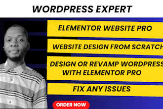 design or revamp redresign wordpress website with elementor,fix elementor issues