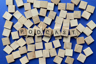 provide professional podcast show notes for improved listenership