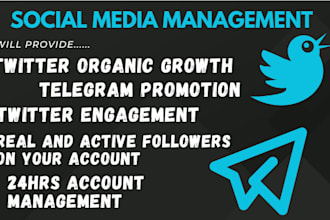 be your twitter management, crypto organic growth,telegram promotion x marketing
