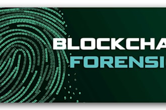 do crypto address investigation and blockchain forensics