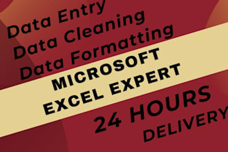 be your excel spreadsheet, formula, data cleaning expert