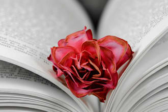 be your book editor romance ghostwriter and typesetting