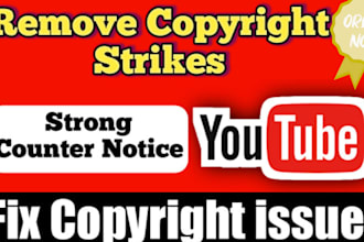 do dmca takedown, copyright infringement , leaked content removal from youtube