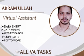 handle your data entry, web research, and admin support