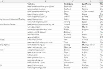 give you a CSV with UK b2b leads CEO directors only
