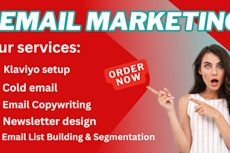set up klaviyo, write cold email copywriting, design newsletter, segment email