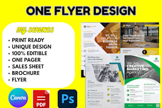 design flyer sell sheet pitch deck brochure one pager and investment teaser