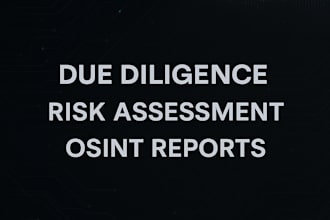 deliver due diligence reports and geopolitical risk analysis