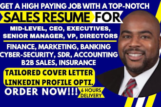 write 12hrs career change sales, finance sdr, ceo banking, director exec, resume