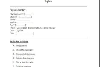 do email writing and help you on your project in english or french