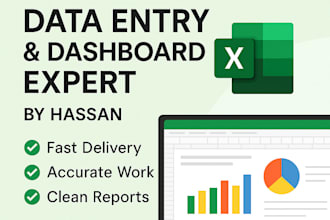 create professional excels sheets, dashboards, and reports