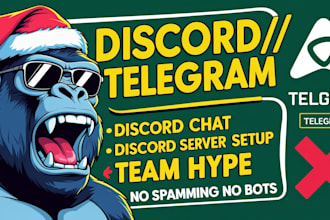 be your nft discord moderator, telegram admin, chatter, community manager fivem