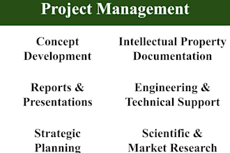 manage a technology development project