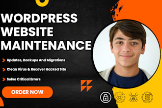do wordpress website maintenance, updates, backups, security and emergency fixes