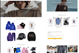 build a passive income shopify streetwear dropshipping store or shopify website
