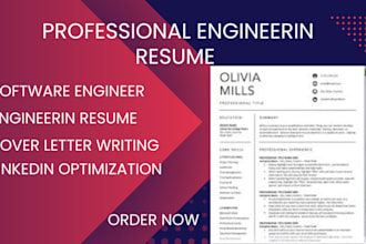 craft a resume, CV for IT, healthcare, nursing, engineering, project management