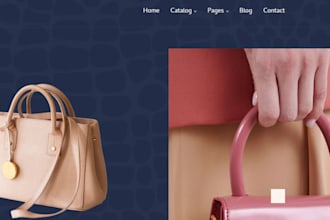 clone shopify, shopify revamp, shopify development, copy shopify shopify expert