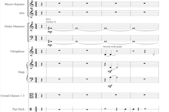 professionally transcribe your music into notation for you