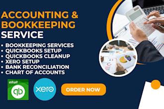 do bookkeeping cleanup, setup on quickbooks online and xero