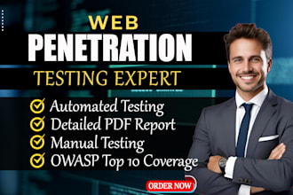do website penetration testing with comprehensive reporting
